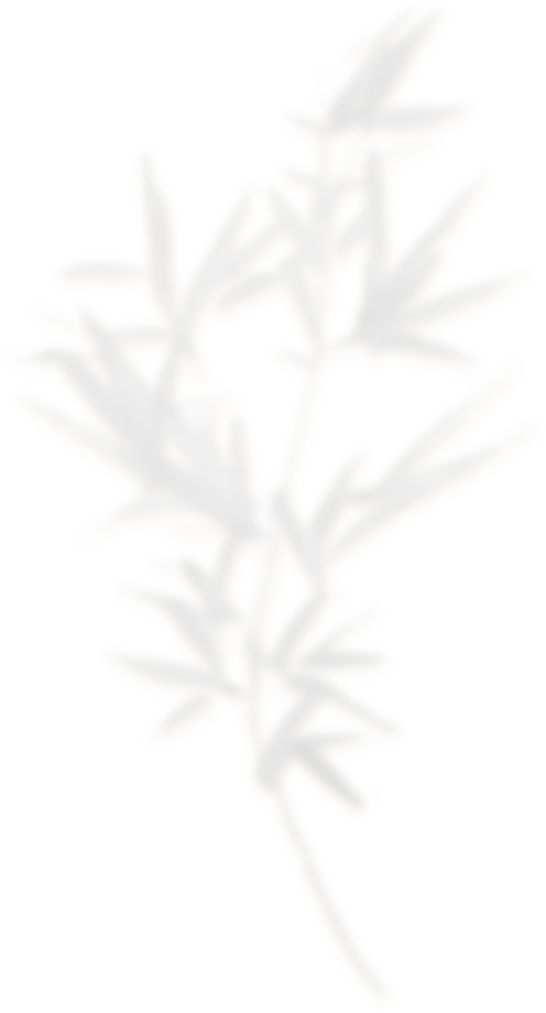 deco