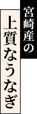 宮崎産の上質なうなぎ